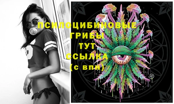 соль ск Заволжье