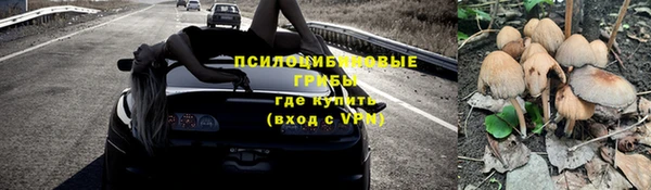 соль ск Заволжье